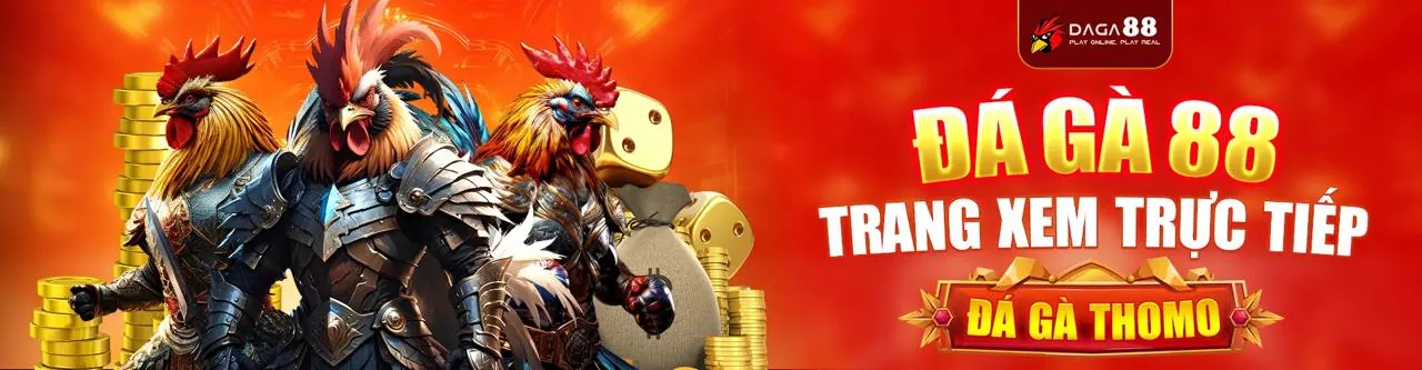 Đá gà trực tuyến gg8816 với trận đấu kịch tính